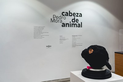 Exposición Cabeza de animal, de Pedro Mora