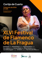 Festival Flamenco de La Fragua